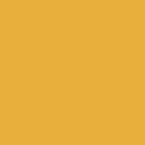 Mustard Yellow Solid Plain Colour Block E8AF3D